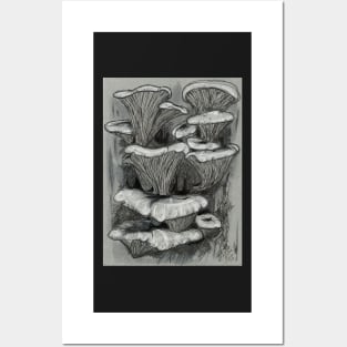 mushrooms gray Posters and Art